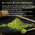 深蒸黑茶配抹茶袋 Kokuuma blend 2.5g x 100p
